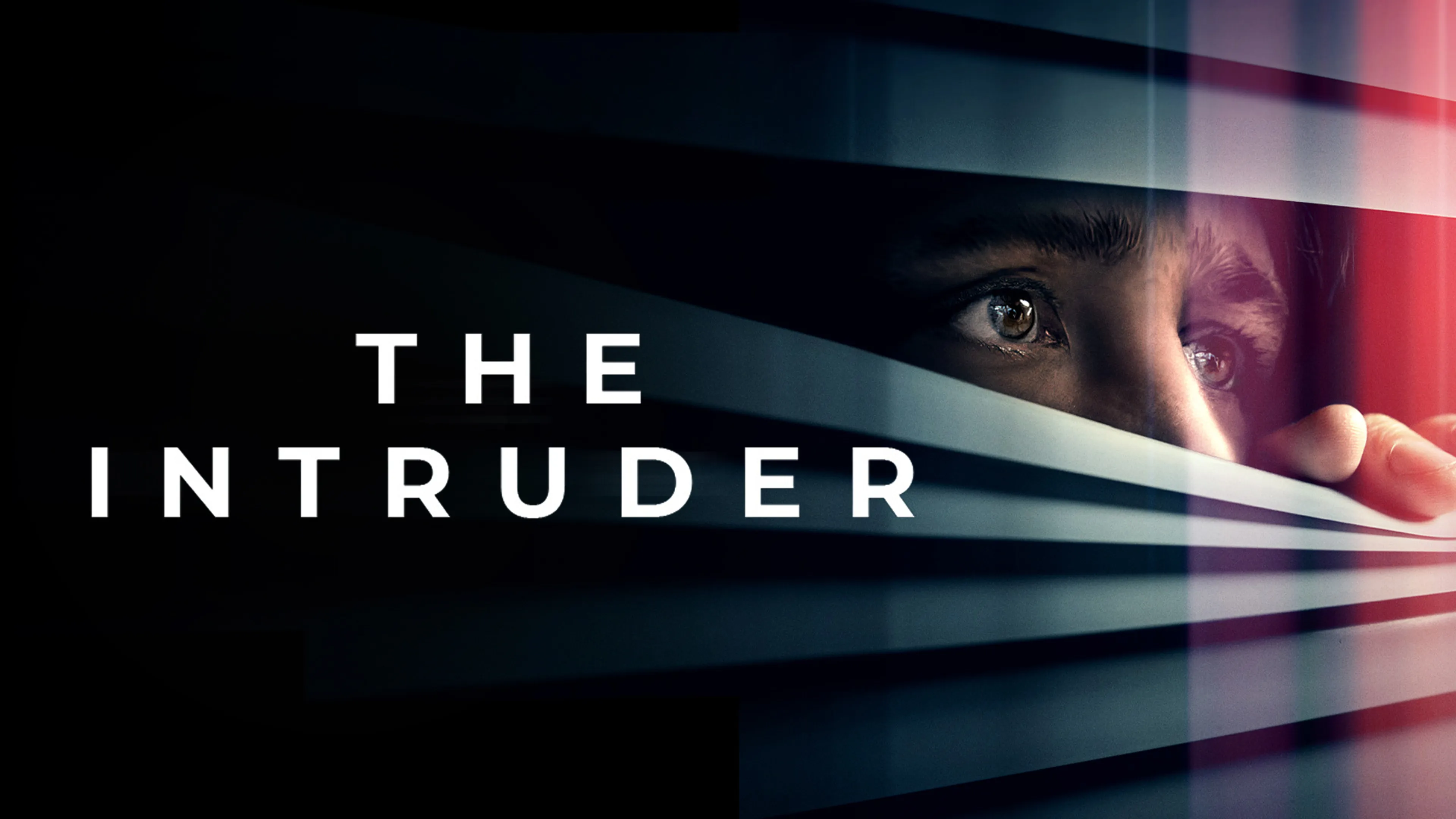 The Intruder poster